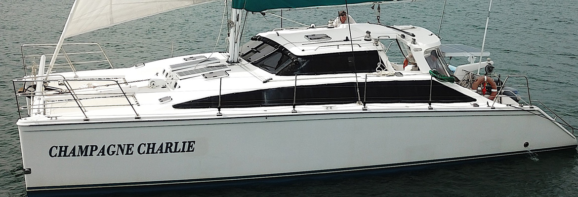 used radio controlled yachts for sale near newcastle nsw